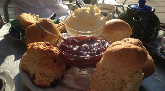 Coffee Break: The Mock Turtle